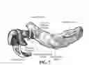 Fig. 08 - Training aid for a dental injection