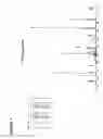 Fig. 05 - Reagents for the detection of protein phosphorylation in c-Src signaling pathways