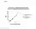 Fig. 07 - COMPOSITIONS AND METHODS FOR DETECTING AND QUANTIFYING TOXIC SUBSTANCES IN DISEASE STATES