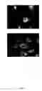 Fig. 02 - COMPOSITION, METHOD AND KIT FOR REDUCING BACKGROUND STAINING