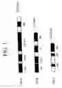 Fig. 02 - PUFA polyketide synthase systems and uses thereof