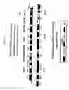 Fig. 04 - PUFA polyketide synthase systems and uses thereof