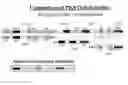 Fig. 01 - PUFA polyketide synthase systems and uses thereof