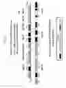 Fig. 04 - PUFA polyketide synthase systems and uses thereof