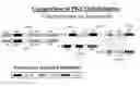 Fig. 01 - PUFA polyketide synthase systems and uses thereof