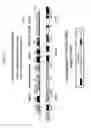 Fig. 04 - PUFA polyketide synthase systems and uses thereof