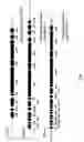 Fig. 02 - PUFA polyketide synthase systems and uses thereof