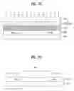Fig. 10 - DIELECTRIC SHEET, PLASMA DISPLAY PANEL USING THE SAME, AND MANUFACTURING METHOD THEREFOR