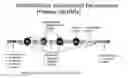 Fig. 01 - Unstructured recombinant polymers and uses thereof