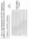 Fig. 07 - Unstructured recombinant polymers and uses thereof