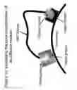 Fig. 11 - Unstructured recombinant polymers and uses thereof