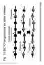 Fig. 20 - Unstructured recombinant polymers and uses thereof