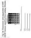 Fig. 40 - Unstructured recombinant polymers and uses thereof