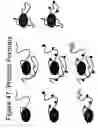 Fig. 48 - Unstructured recombinant polymers and uses thereof