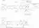 Fig. 13 - Pyrrolobenzodiazepines