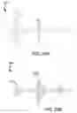 Fig. 33 - SYSTEMS AND METHODS FOR CALIBRATION OF HEART SOUNDS