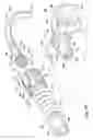 Fig. 09 - Ventilator to tracheotomy tube coupling