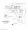 Fig. 02 - Method and system for directed call establishment to facilitate the provision of enhanced communications services