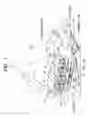 Fig. 02 - Image forming apparatus including a plurality of image forming units disposed so as to be removable without damaging an intermediate transferring member