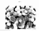 Fig. 06 - Process for production of powder of perovskite compound