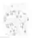 Fig. 02 - Microparticles for Oral Delivery