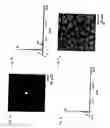 Fig. 04 - Patterning of solid state features by direct write nanolithographic printing