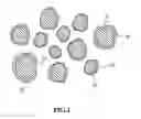 Fig. 02 - Carbonaceous composite particles and uses and preparation of the same