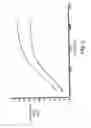 Fig. 03 - Imaging of enzyme activity