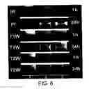 Fig. 10 - Imaging of enzyme activity