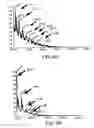 Fig. 11 - Imaging of enzyme activity