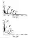 Fig. 14 - Imaging of enzyme activity