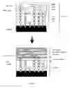 Fig. 02 - Multi-layer fin wiring interposer fabrication process