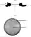 Fig. 02 - Hybrid driveshaft based on unidirectional and fabric composite materials