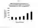 Fig. 08 - N-terminally modified GLP-1 receptor modulators