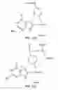 Fig. 02 - Methods of using substituted pyrrolo[2,3-d]pyrimidines for targeting tumor cells and treating cancer