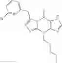 Fig. 110 - Purinone derivatives as HM74A agonists