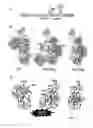 Fig. 02 - Crystal structure of CRIg and C3b:CRIg complex