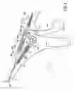 Fig. 04 - Rotational, translational and torqueing control members for an endoscopic instrument