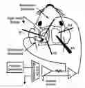 Fig. 01 - Methods and devices for determining brain state