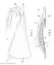 Fig. 02 - Arch support with ribbed surface