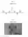 Fig. 02 - LAMP SUPPORTER AND LIQUID CRYSTAL DISPLAY HAVING THE SAME