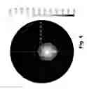 Fig. 06 - Optical film having microreplicated structures and methods
