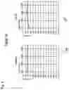 Fig. 09 - SELF-PACED IN-SITU AUDIOMETRY