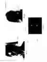 Fig. 02 - System for obfuscating identity