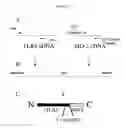 Fig. 23 - Neutralizing antibodies and methods of use thereof