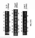 Fig. 08 - Ambient Temperature Stable Kits for Molecular Diagnostics