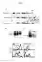 Fig. 02 - Nonhuman model animal of Th2-mediated hyperimmune response
