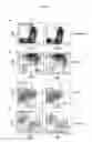 Fig. 03 - Nonhuman model animal of Th2-mediated hyperimmune response