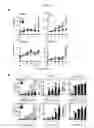 Fig. 06 - Nonhuman model animal of Th2-mediated hyperimmune response