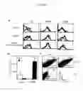 Fig. 07 - Nonhuman model animal of Th2-mediated hyperimmune response